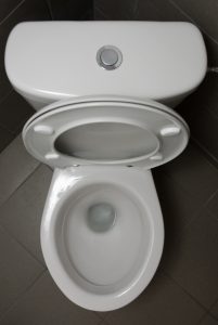 toilet-image-open-clean-button